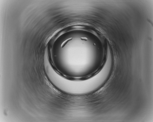 X0000100211369200805301317