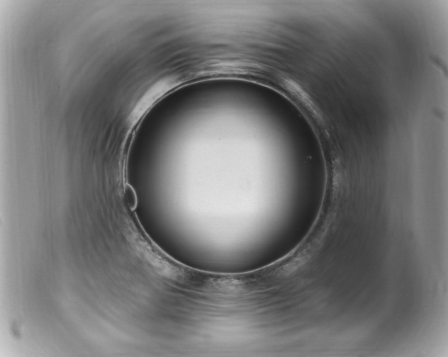 X0000100211370200805301317