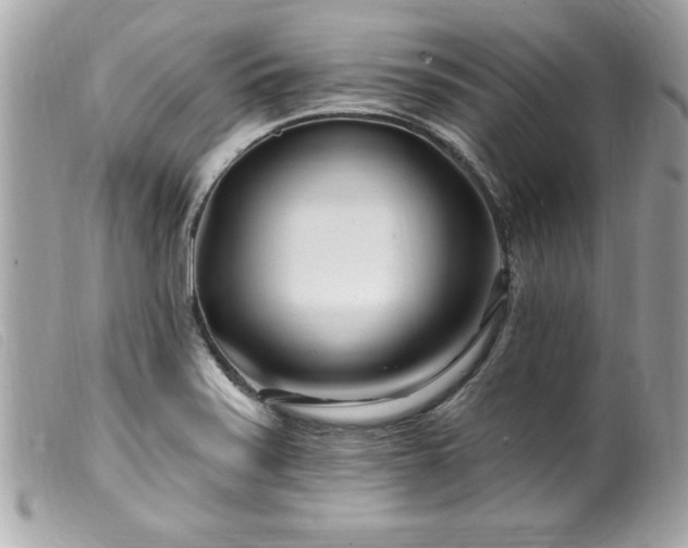 X0000100211371200805301317