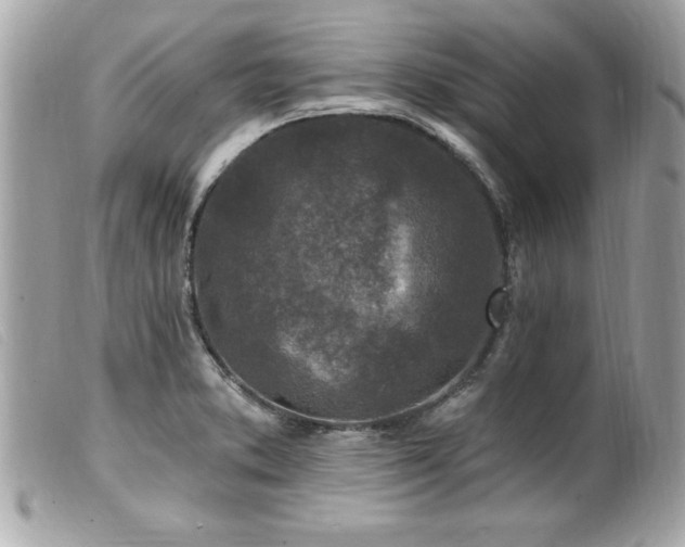 X0000100211373200805301316