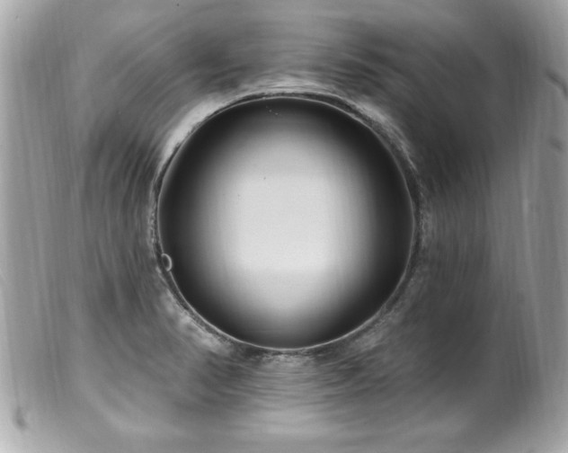 X0000100211374200805301316
