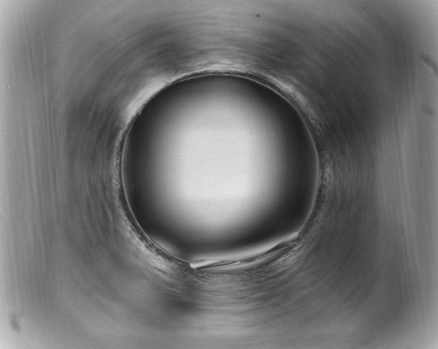 X0000100211375200805301316