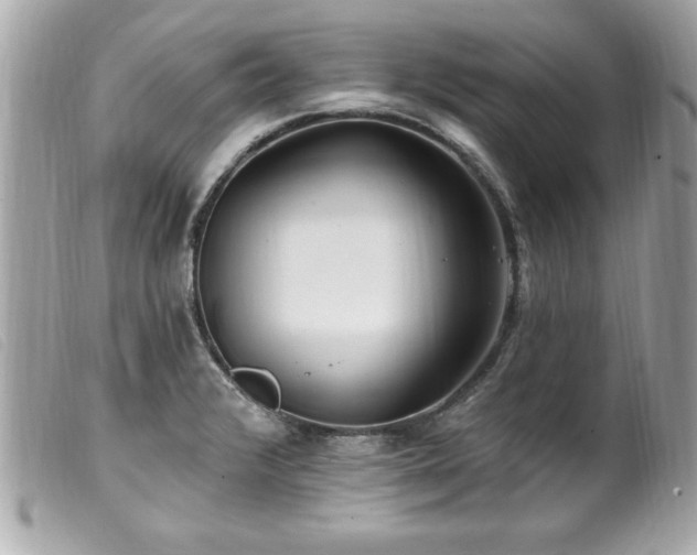 X0000100211376200805301316