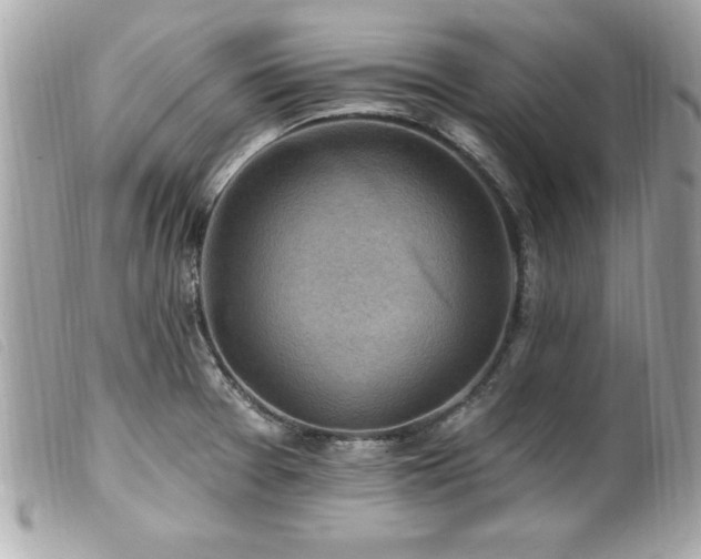 X0000100211377200805301316