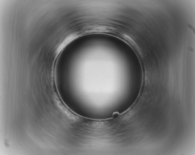 X0000100211378200805301316