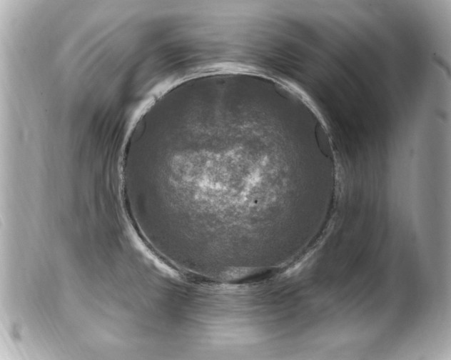 X0000100211381200805301316