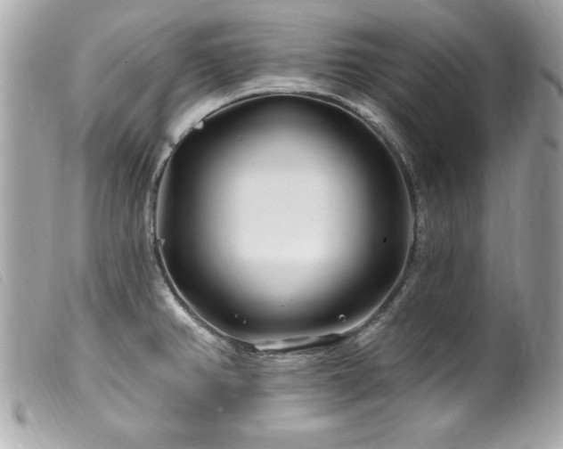 X0000100211382200805301316