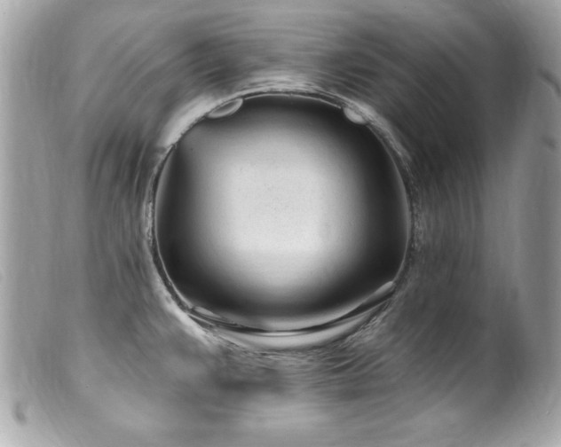 X0000100211383200805301316