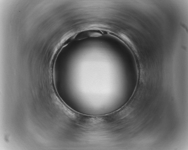 X0000100211384200805301316