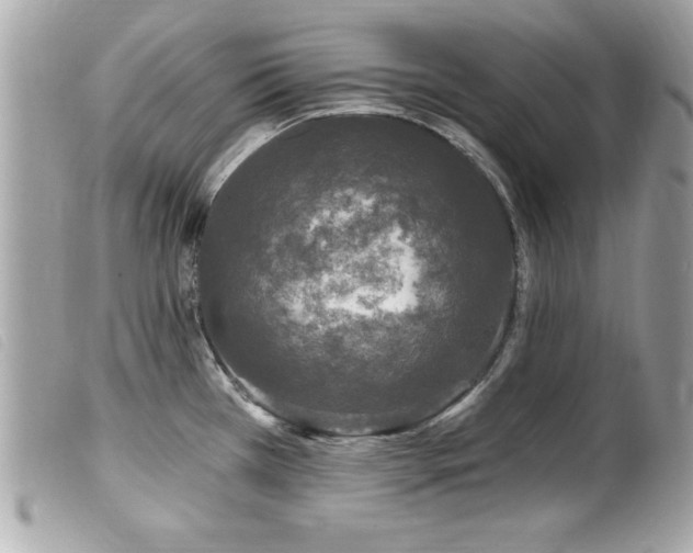 X0000100211385200805301316