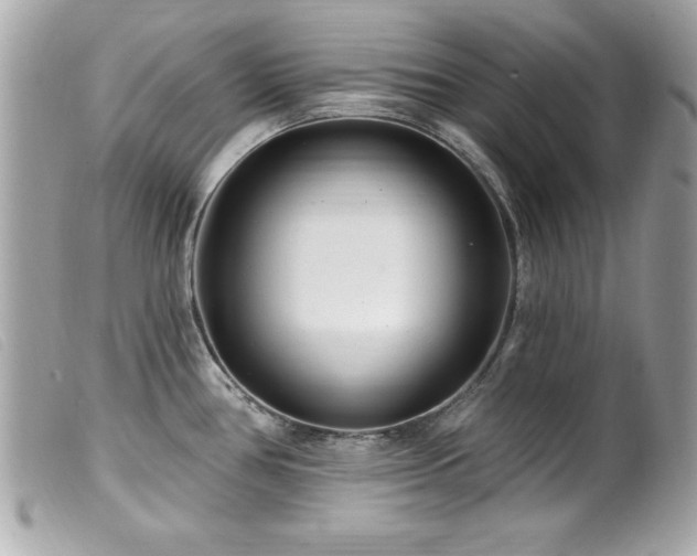 X0000100211386200805301316