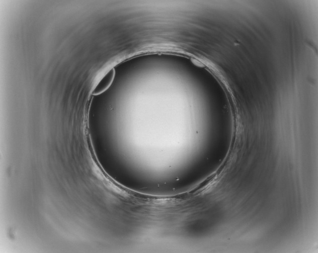 X0000100211390200805301316