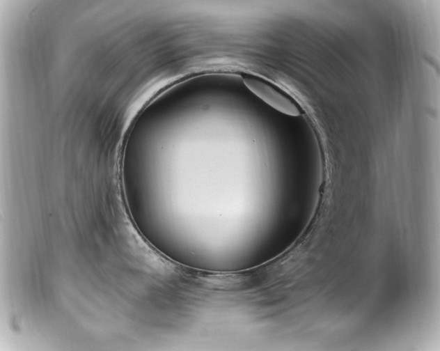 X0000100211392200805301316