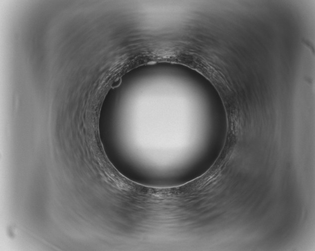 X0000100211393200805301316