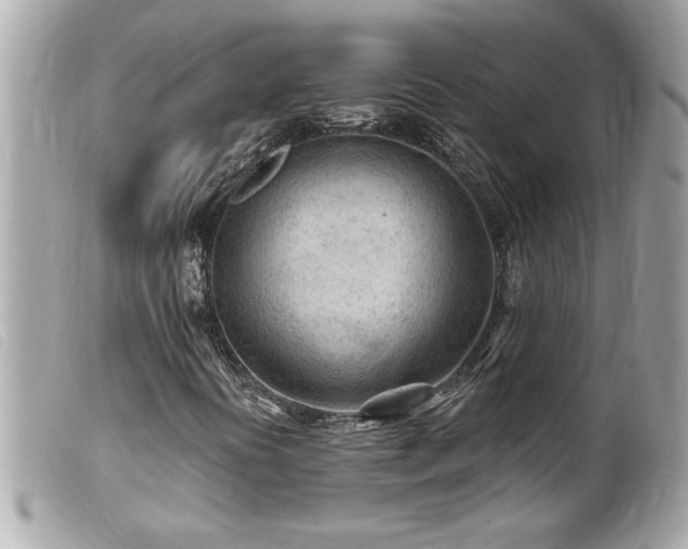 X0000100211394200805301316