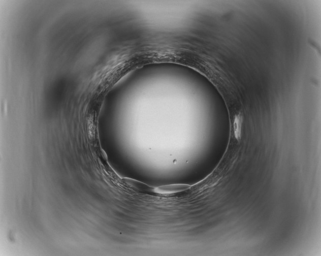 X0000100211395200805301316