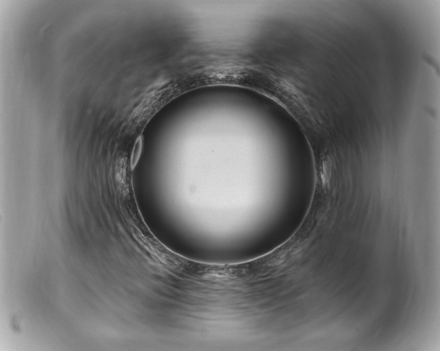 X0000100211396200805301316