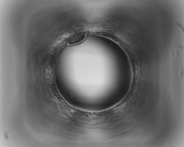 X0000100211398200805301316