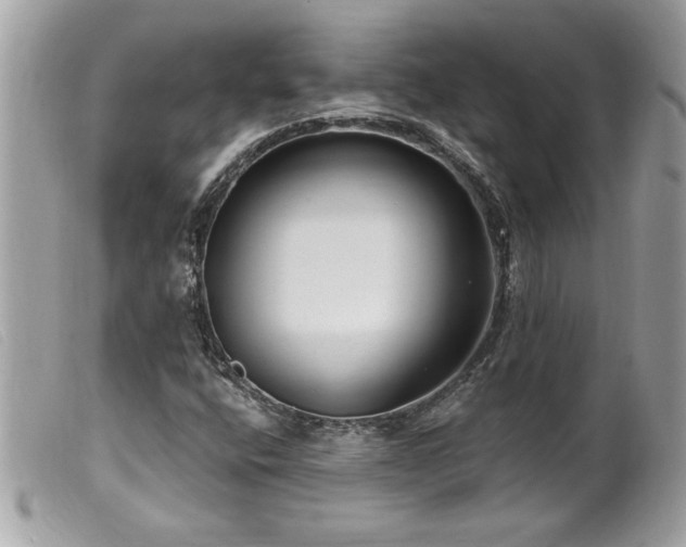 X0000100211400200805301316