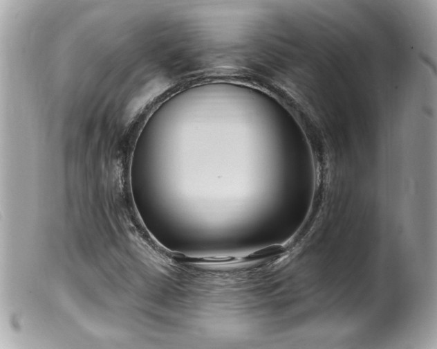 X0000100211402200805301316