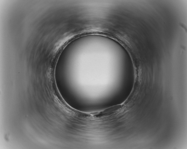 X0000100211404200805301316