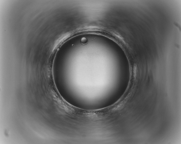 X0000100211405200805301316