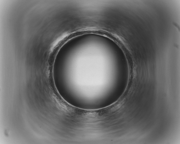 X0000100211406200805301316