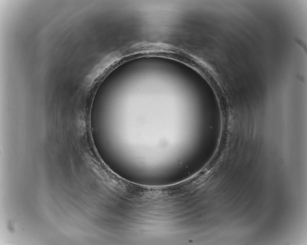 X0000100211407200805301316