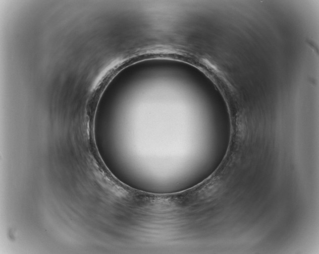 X0000100211408200805301316