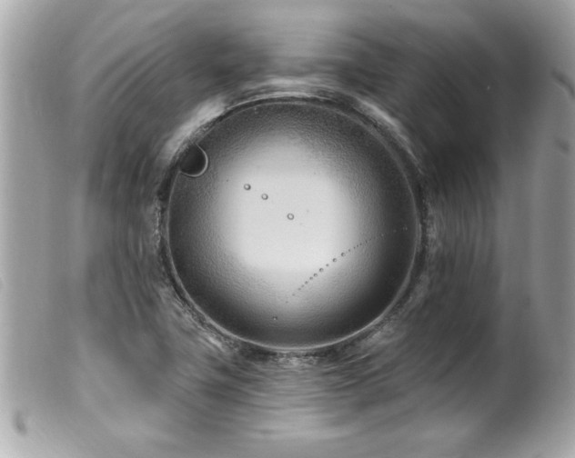 X0000100211411200805301316