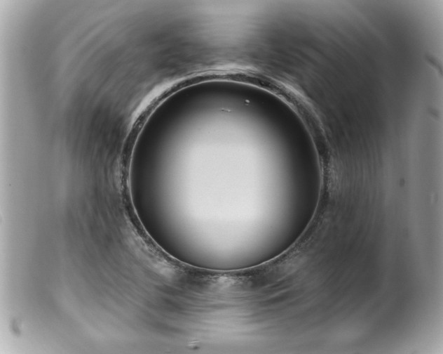X0000100211412200805301316