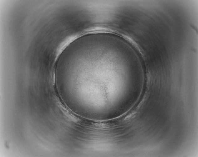 X0000100211413200805301316