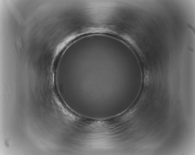 X0000100211414200805301316
