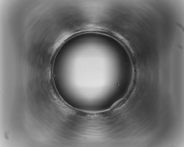 X0000100211415200805301316