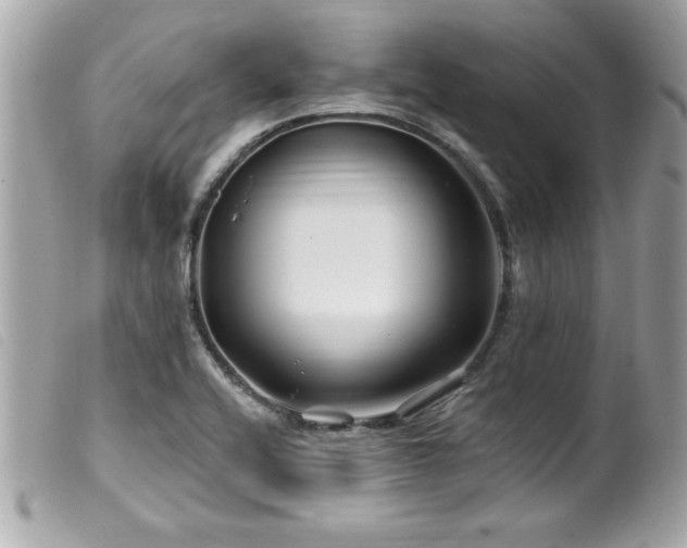 X0000100211416200805301316