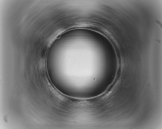 X0000100211417200805301316