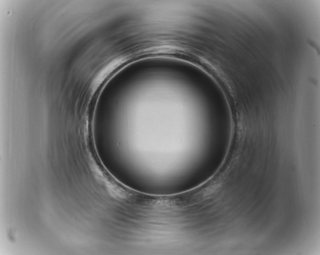 X0000100211418200805301316