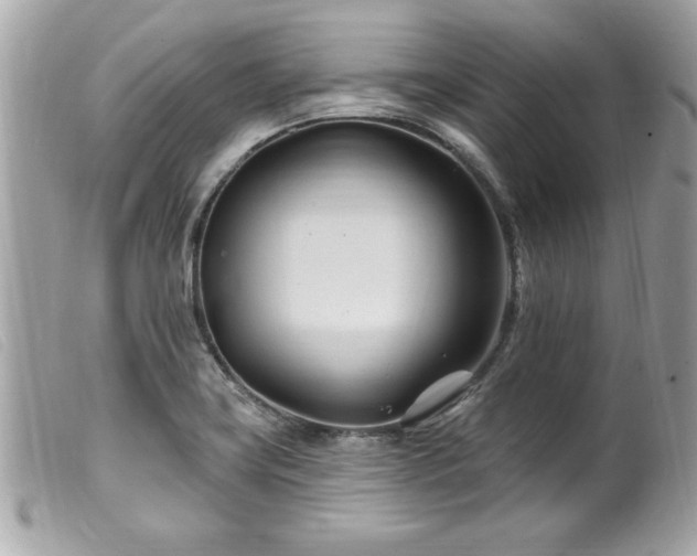 X0000100211419200805301316