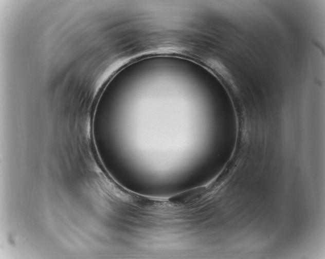 X0000100211420200805301316