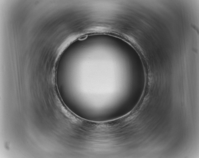 X0000100211421200805301316