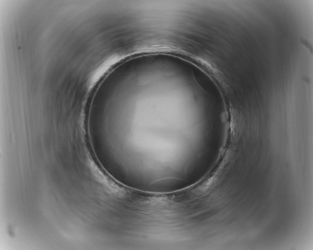 X0000100211422200805301316