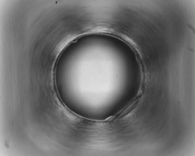 X0000100211423200805301316