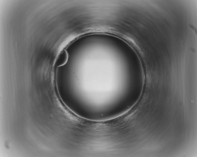X0000100211424200805301316