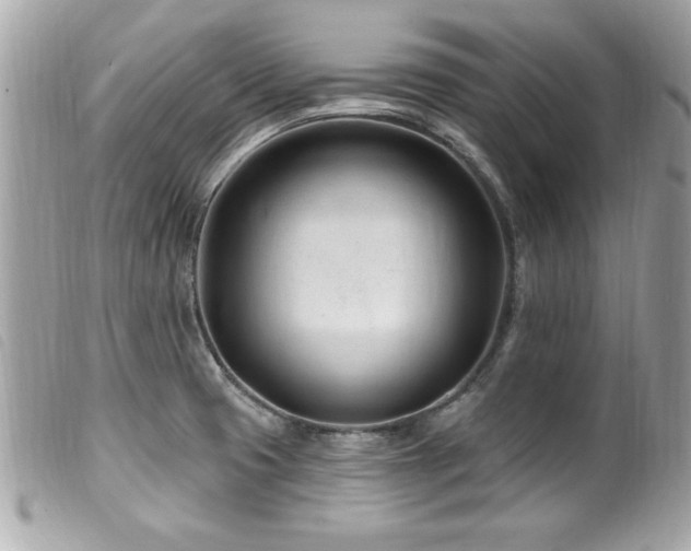 X0000100211425200805301316