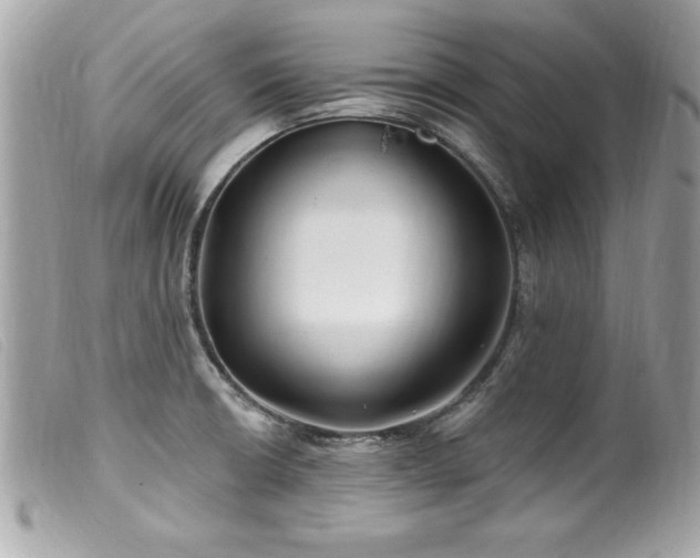X0000100211426200805301316