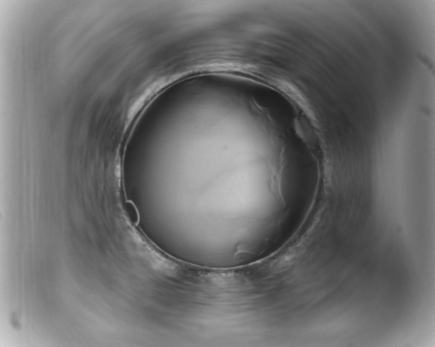 X0000100211428200805301316
