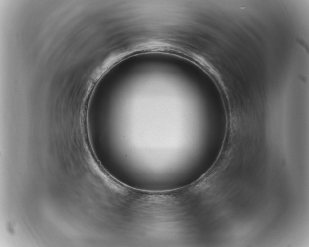X0000100211429200805301316