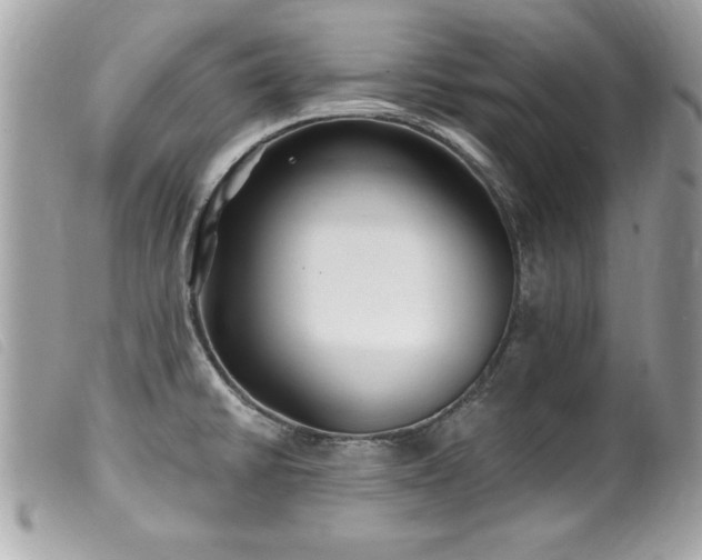 X0000100211430200805301316