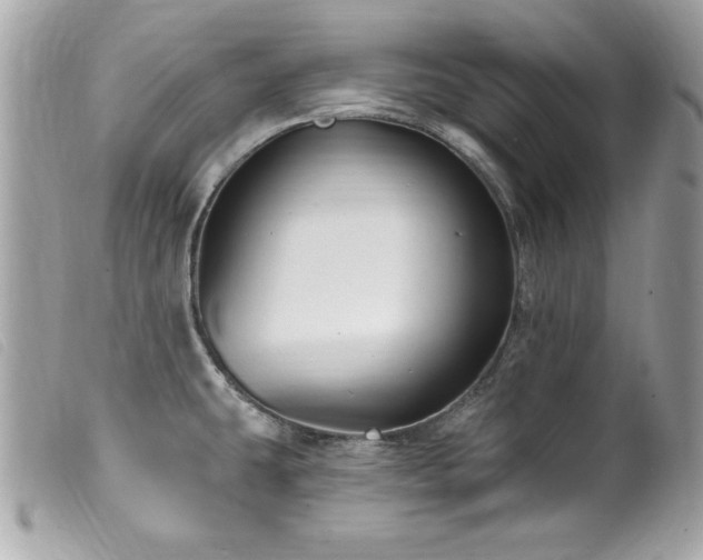 X0000100211431200805301316