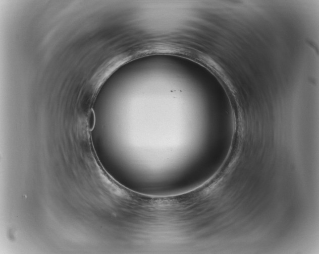 X0000100211433200805301316